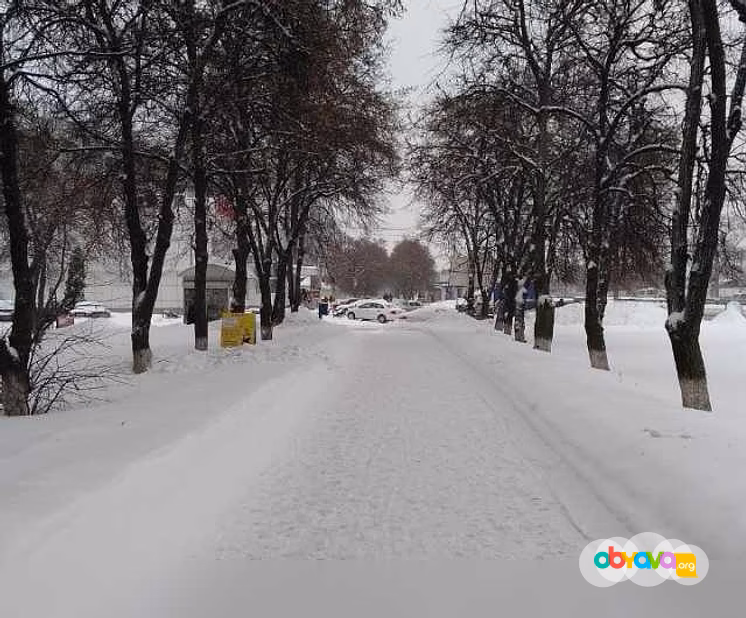 Продам: полис спортсменам для участия в спорте в Курске