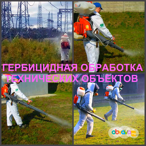 Гербицидная обработка Воронеж, от сорняков в Воронеже