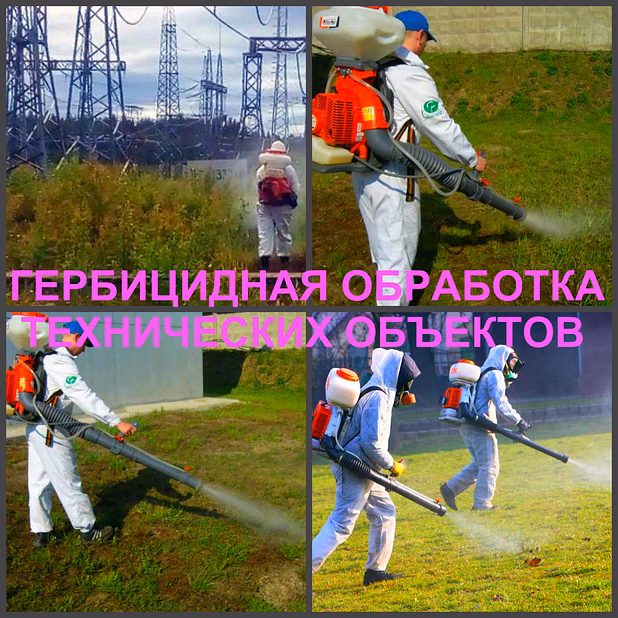 Гербицидная обработка Воронеж, от сорняков в Воронеже