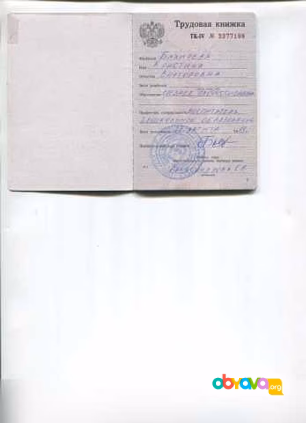 Предложение: подготовим пакет документов о доходе