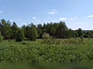 Земельный участок