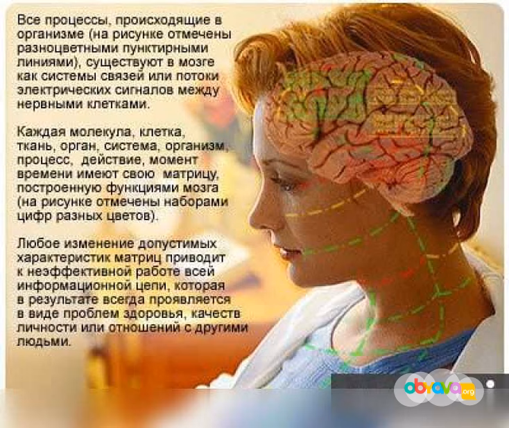 Продам: система восстановительной IT-медицины в Санкт-Петербурге
