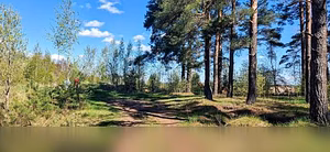 Продам: коммерческая земля в Острове в Пскове