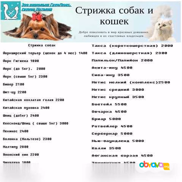 Стрижка собак на дому в Москве