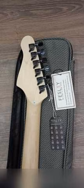 Продам: суперстратокастер Fesley FST 450