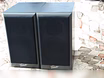 Продам: КОЛОНКИ VOICE SS-1 в Санкт-Петербурге