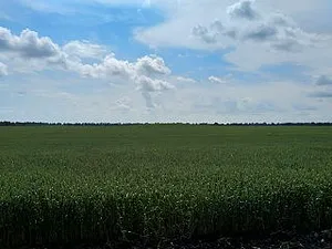 Земельный участок сельхозназначения 223 Га