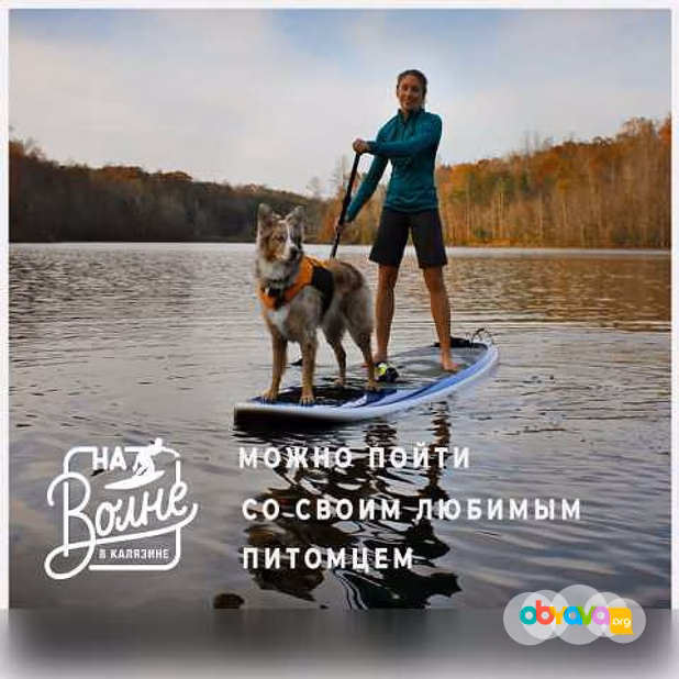 Водные экскурсии, прокат сапбордов
