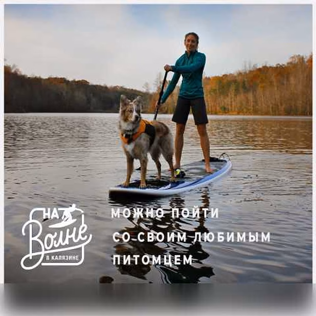 Водные экскурсии, прокат сапбордов