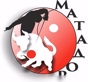 Центр фехтования Матадор в Челябинске
