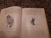 Продам: антик книга Доктор Роберт Бонне.1907 г в Санкт-Петербурге