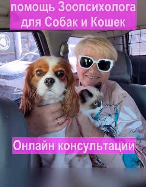 Предложение: зоопсихолог. Фелинолог. Кинолог. Онлайн в Домодедово
