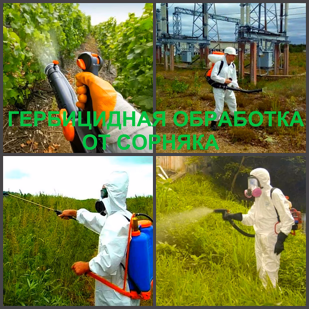 Гербицидная обработка Воронеж, от сорняков в Воронеже