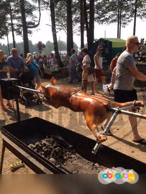 Продам: вертел электрический на мангал