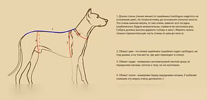 Предложение: вязание одежды для кошек и собак в Сочи