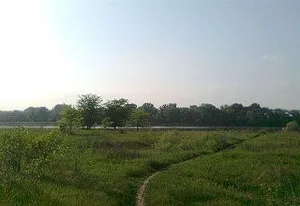 Земельный участок сельхозназначения 71 Га.