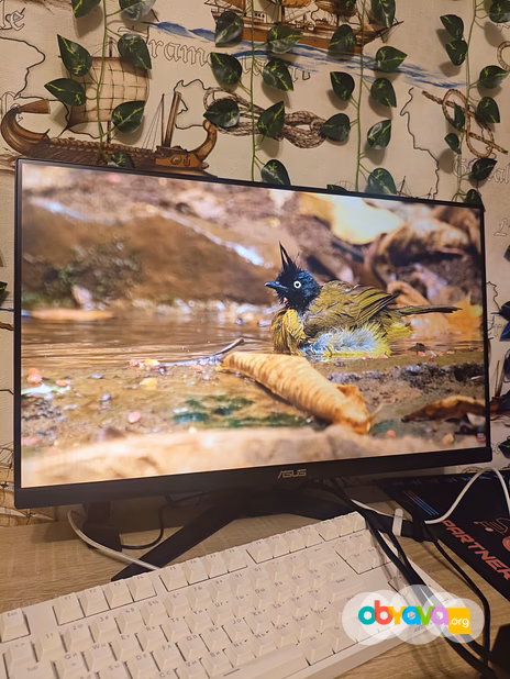 Монитор Asus Tuf Gaming 23.8, 165гц (новый)