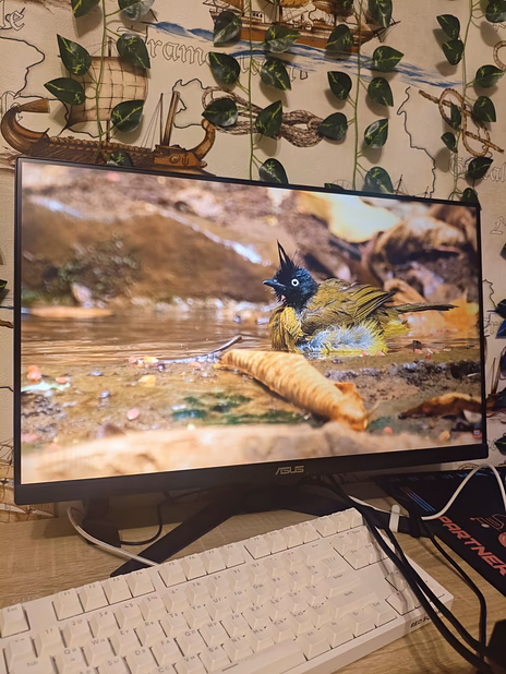 Монитор Asus Tuf Gaming 23.8, 165гц (новый)