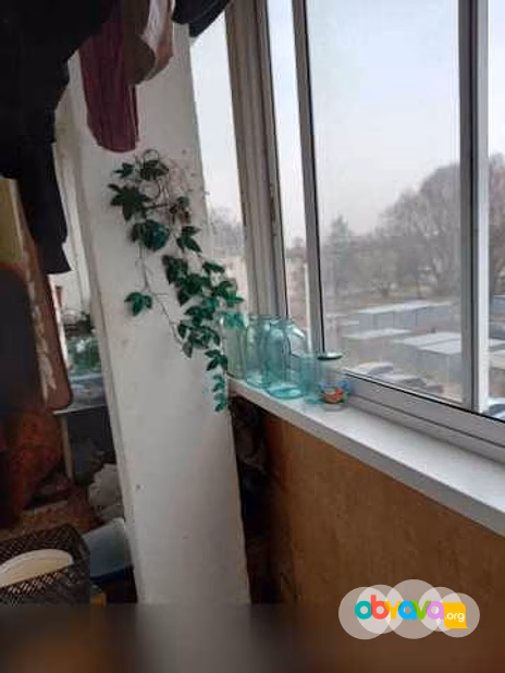Квартиру в Раменском