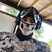 Big Boss
