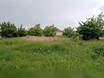 Продам: земельный участок в Краснодаре