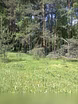 Земельный участок