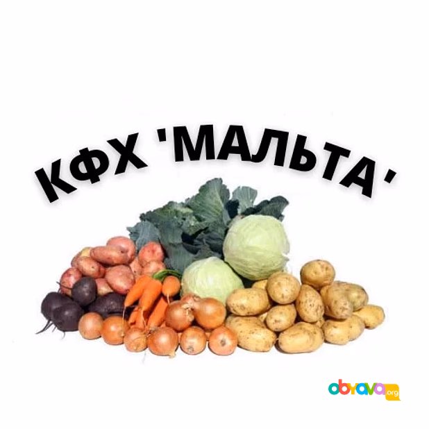 Овощи для борща оптом