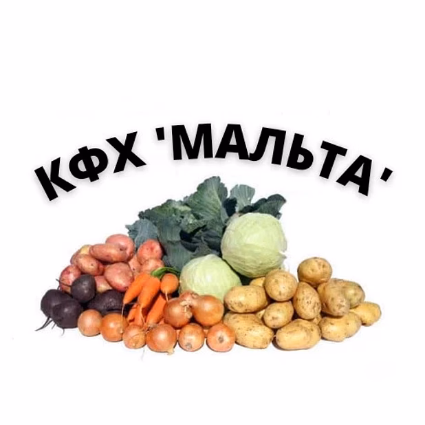 Овощи для борща оптом