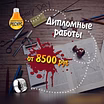 Предложение: помощь студентам в Екатеринбурге