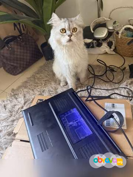 Продам: ноутбук Razer blade18(2025)