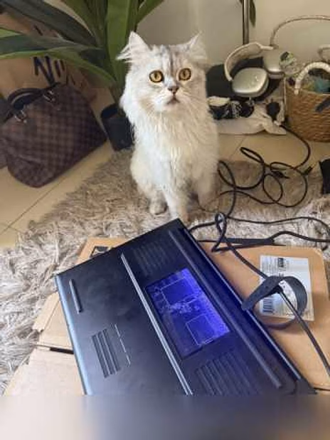 Продам: ноутбук Razer blade18(2025)