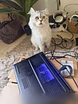 Продам: ноутбук Razer blade18(2025)