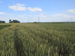 Земельный участок сельхозназначения 6000 Га