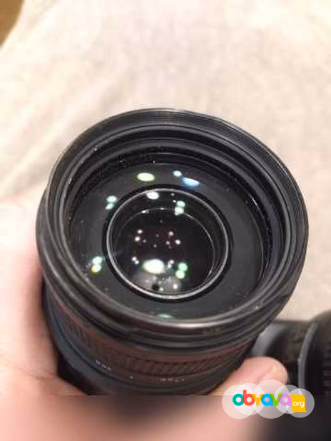 Продам: Nikon D3100