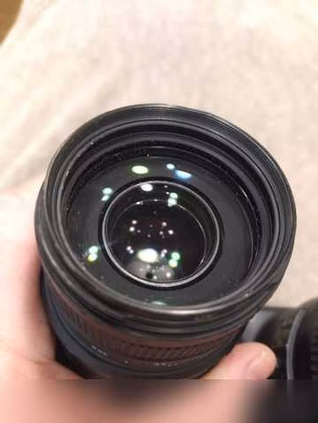 Продам: Nikon D3100