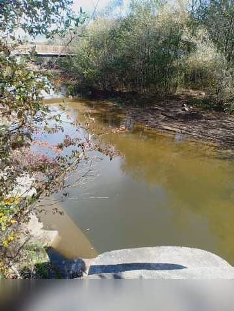 Базу в Краснодаре
