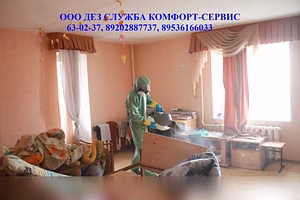 Предложение: уничтожение тараканов БЕСПЛАТНО в Орле