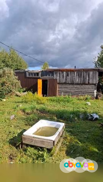 Продам: дачу в Томске