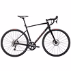 2025 Specialized Allez Disc Sport Road Bike (INDORACYCLES) 