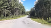 Участок 30 соток в березовой роще