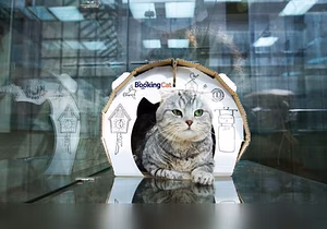 Предложение: передержка в Оренбурге