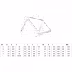 2025 Bianchi Arcadex Pro - Carbon Gravel Bike (WORLDRACYCLES)