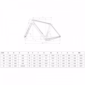 2025 Bianchi Arcadex Pro - Carbon Gravel Bike (WORLDRACYCLES)