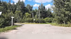 Участок 30 соток в березовой роще