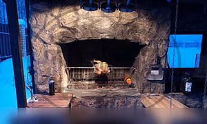 Встраиваемый электро-вертел для барбекю