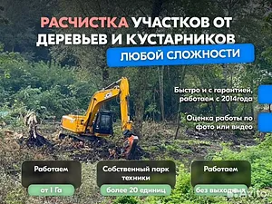 Расчистка территорий от деревьев и пней от 1 Га