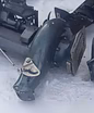Лодочный мотор Yamaha 30