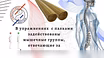 Тренировка/Гимнастика на природе в Севастополе