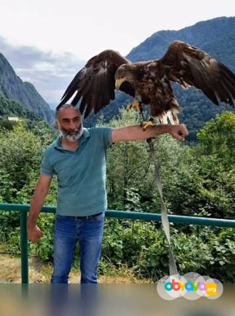 Экскурсия из Лоо гостеприимная Абхазия в Сочи