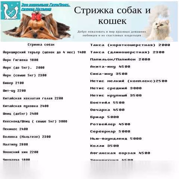 Стрижка собак и кошек в Москве